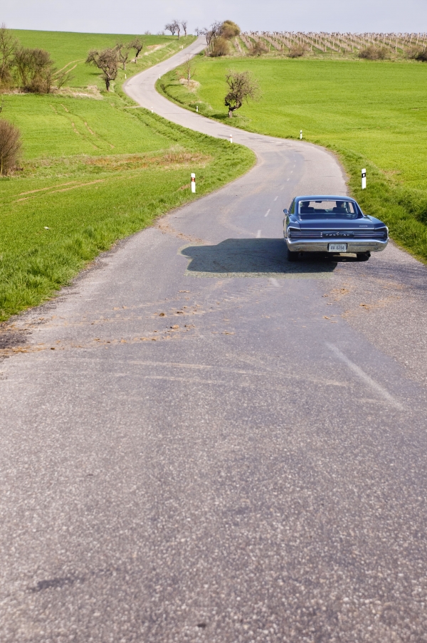 Creation of A Goat in the Road!: Step 3
